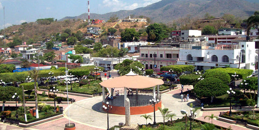 We Visit Tonala, Jalisco Mexico!!!