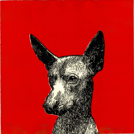 Large Print "Xoloitzcuintle" Dog on Matte Paper Mexican Fine Art
