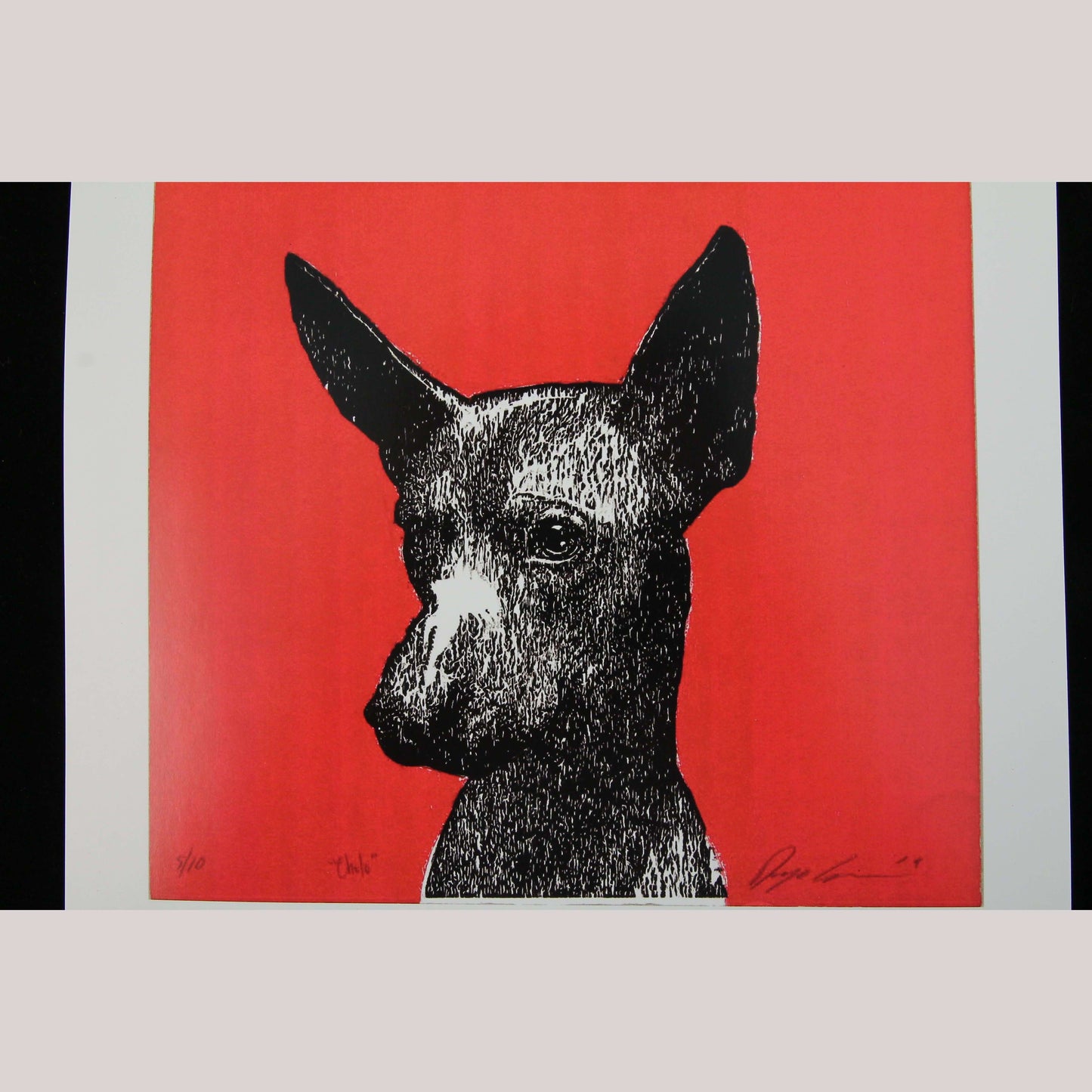Print "Xoloitzcuintle" Dog on Glossy Paper Mexican Fine Art Collectible Decor